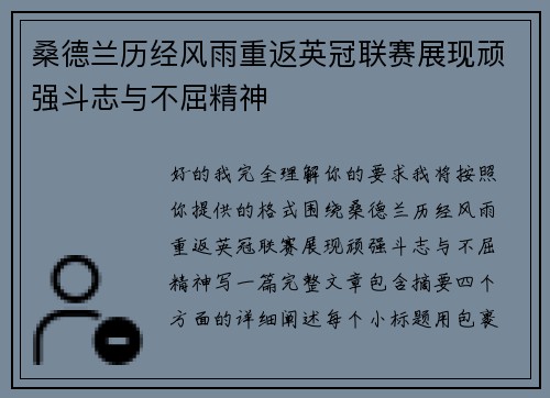 桑德兰历经风雨重返英冠联赛展现顽强斗志与不屈精神